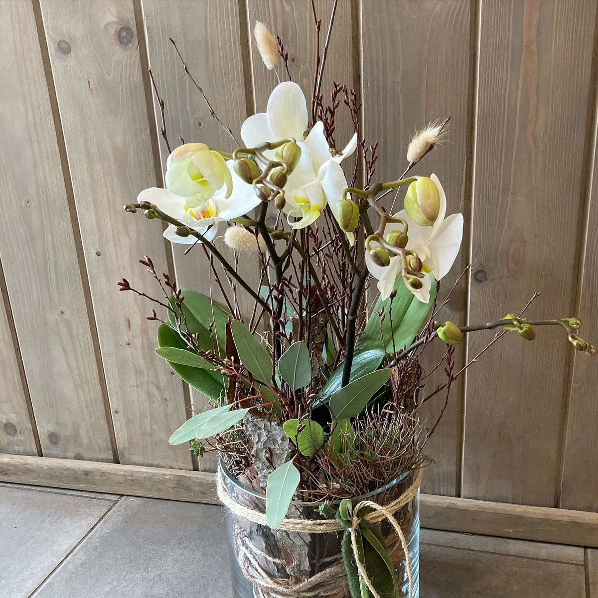 Orchidee bei Blumen Eva